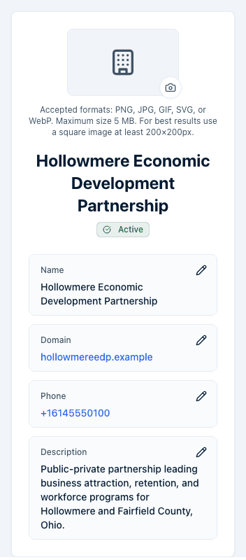 The account profile card showing the logo placeholder, an Active badge, and the Name, Domain, Phone, and Description fields, each with an edit pencil.